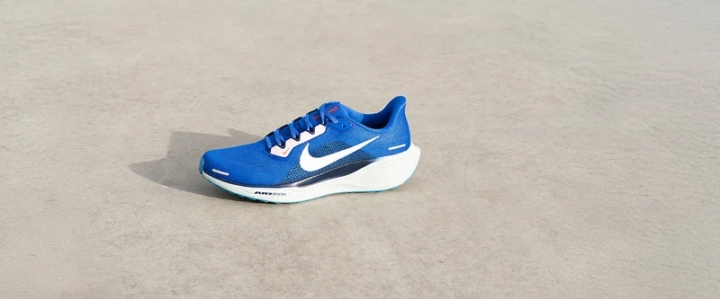 Nike Straßenlaufschuh (Herren) Pegasus 41