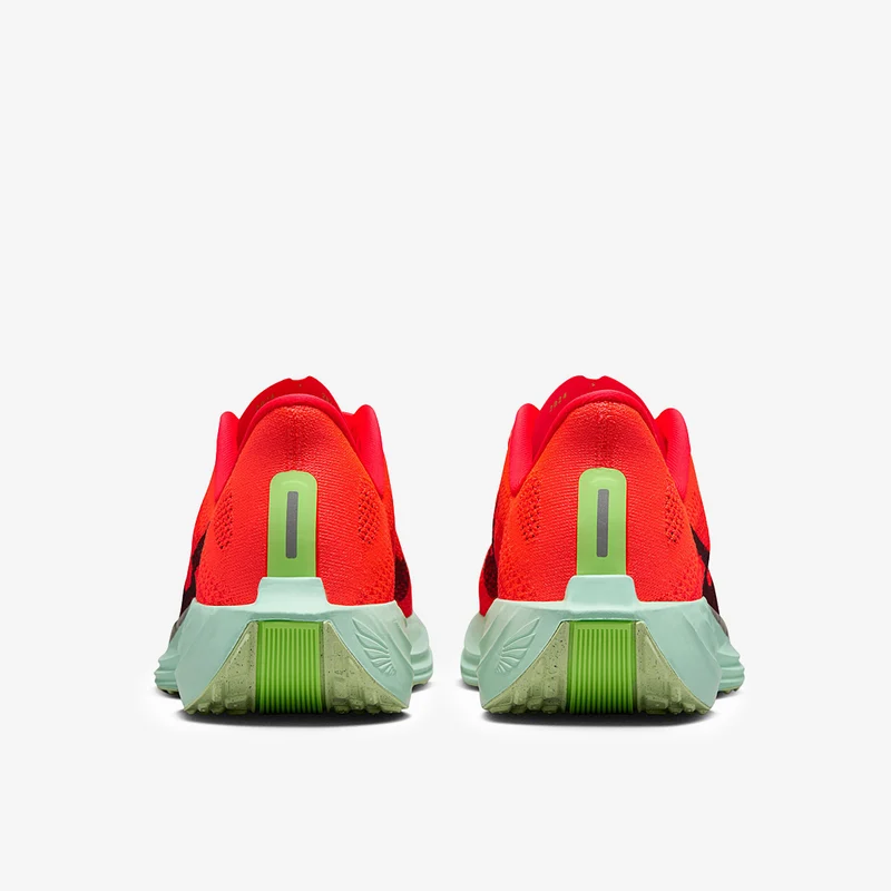 Nike Straßenlaufschuh (Herren) Pegasus Plus
