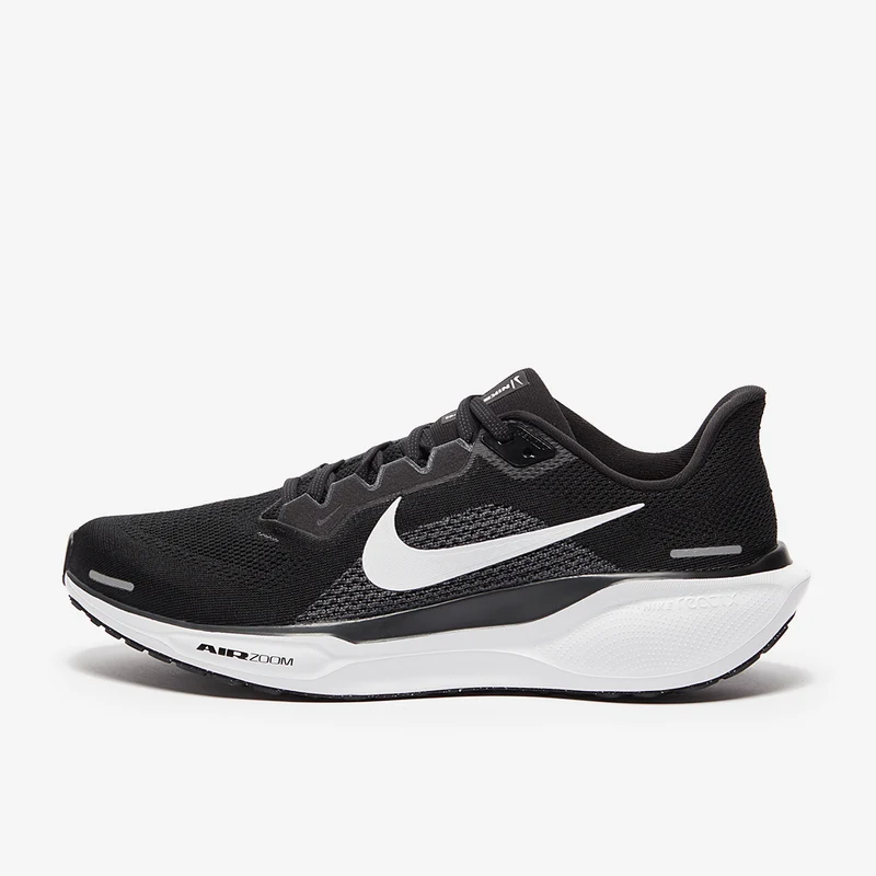 Nike Straßenlaufschuh (Herren) Pegasus 41