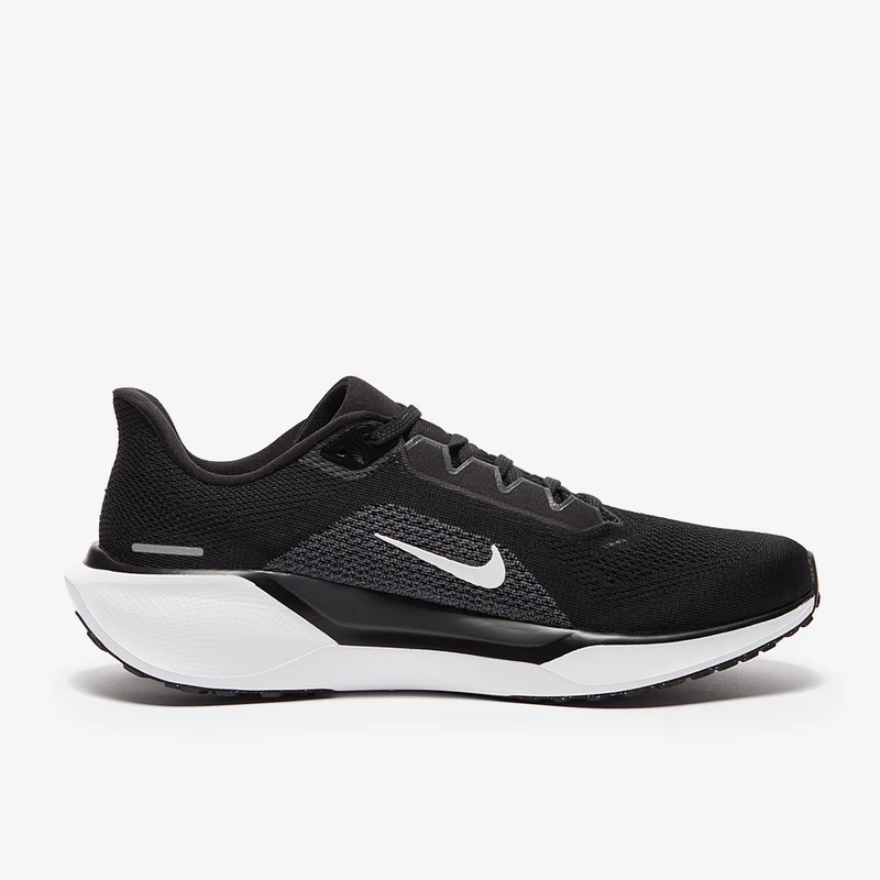 Nike Straßenlaufschuh (Herren) Pegasus 41