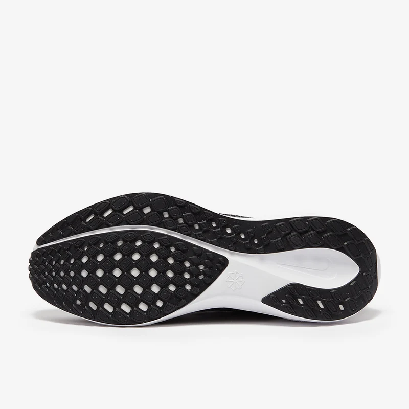 Nike Straßenlaufschuh (Herren) Pegasus 41