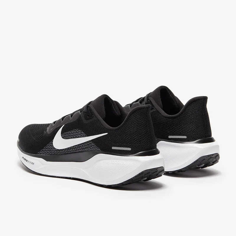 Nike Straßenlaufschuh (Herren) Pegasus 41