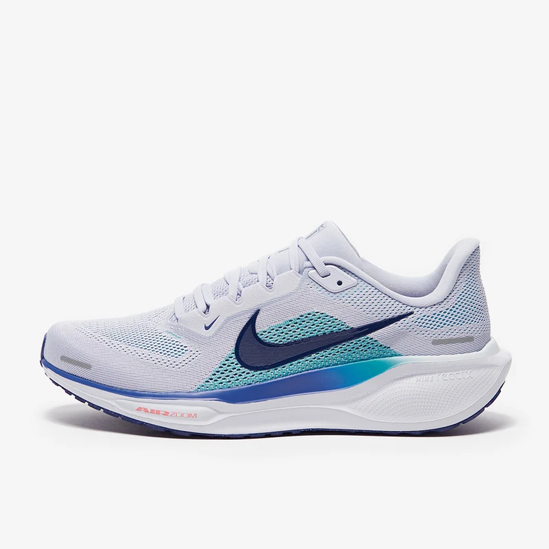 Nike Straßenlaufschuh (Herren) Pegasus 41