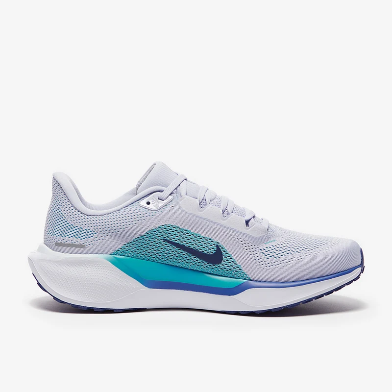 Nike Straßenlaufschuh (Herren) Pegasus 41