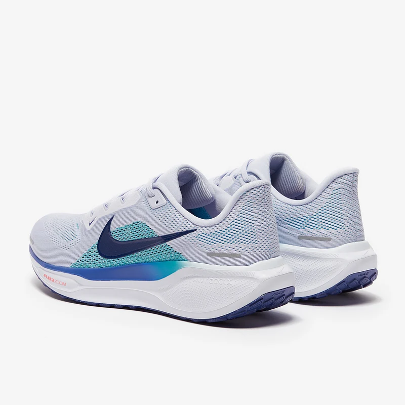 Nike Straßenlaufschuh (Herren) Pegasus 41