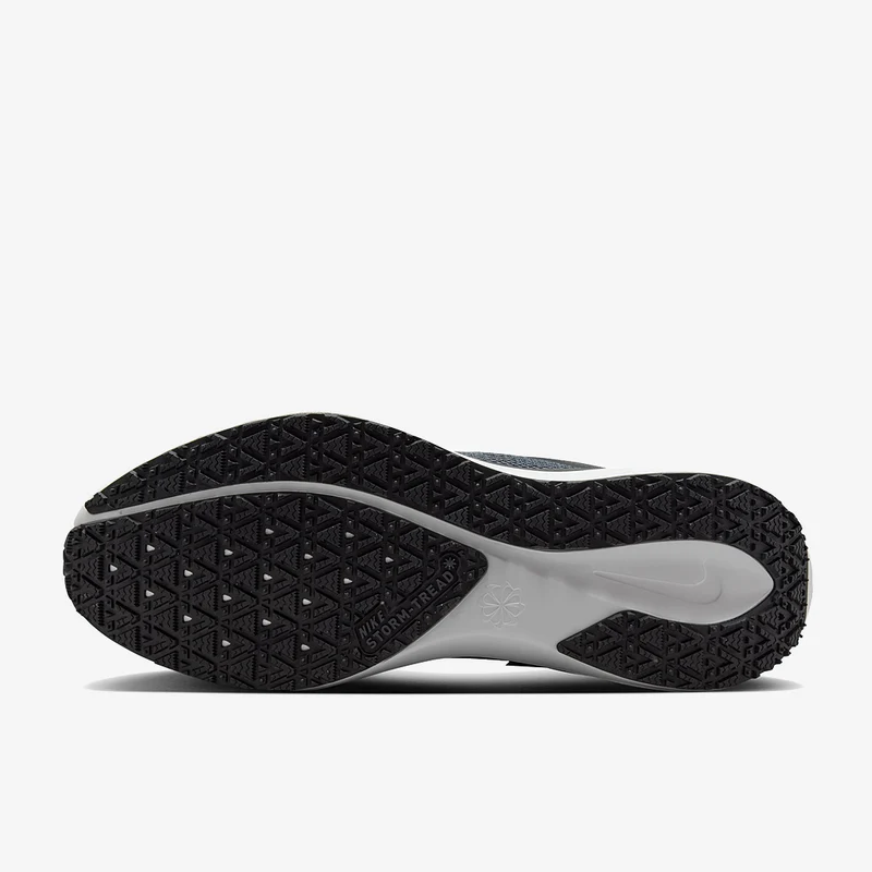 Nike Wasserdichter Straßenlaufschuh für Herren Pegasus 41 GO