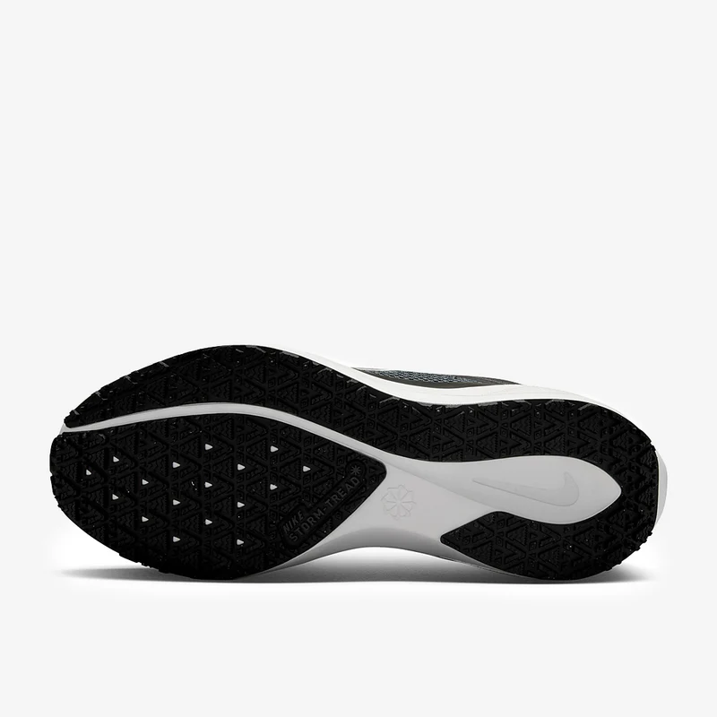 Nike Wasserdichter Straßenlaufschuh (Damen) Pegasus 41 GORE