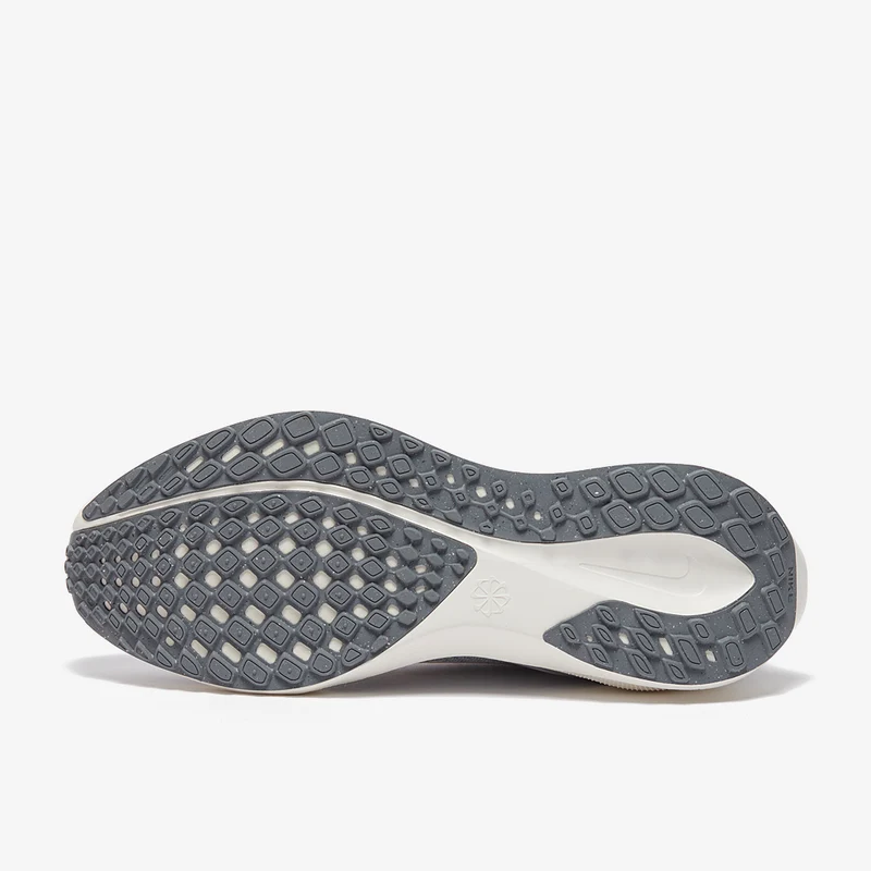 Nike Straßenlaufschuh (Damen) Pegasus 41