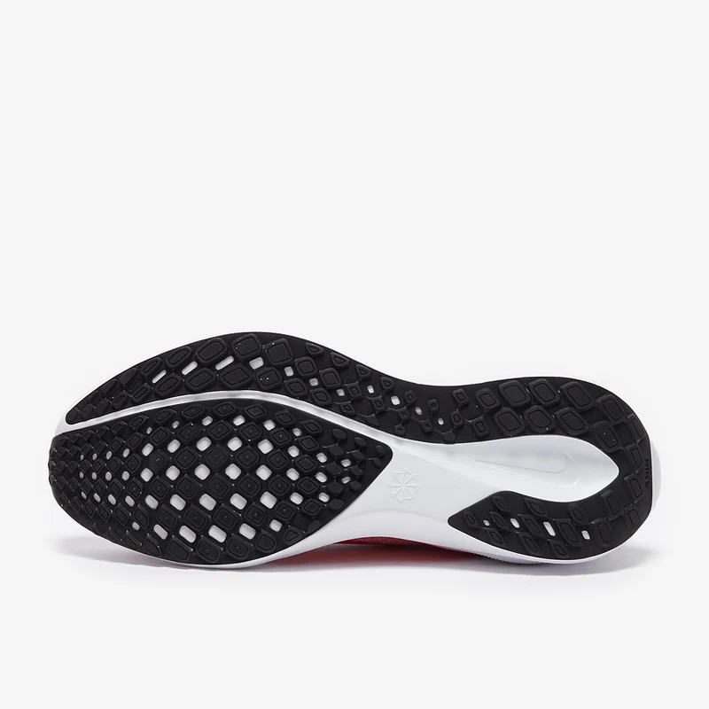 Nike Straßenlaufschuh (Damen) Pegasus 41
