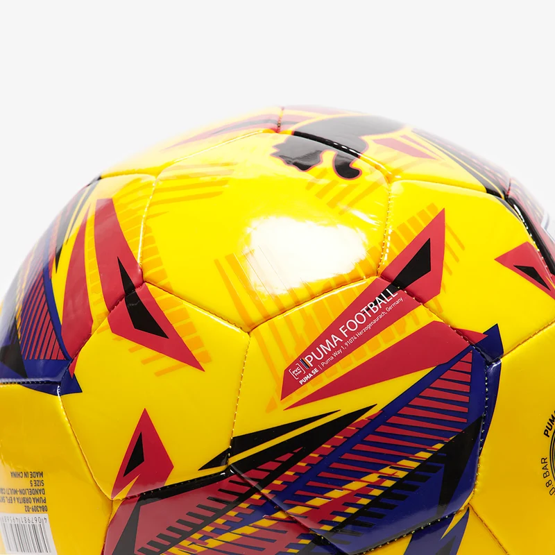 Puma Orbita 6 EFL Sky Bet MS