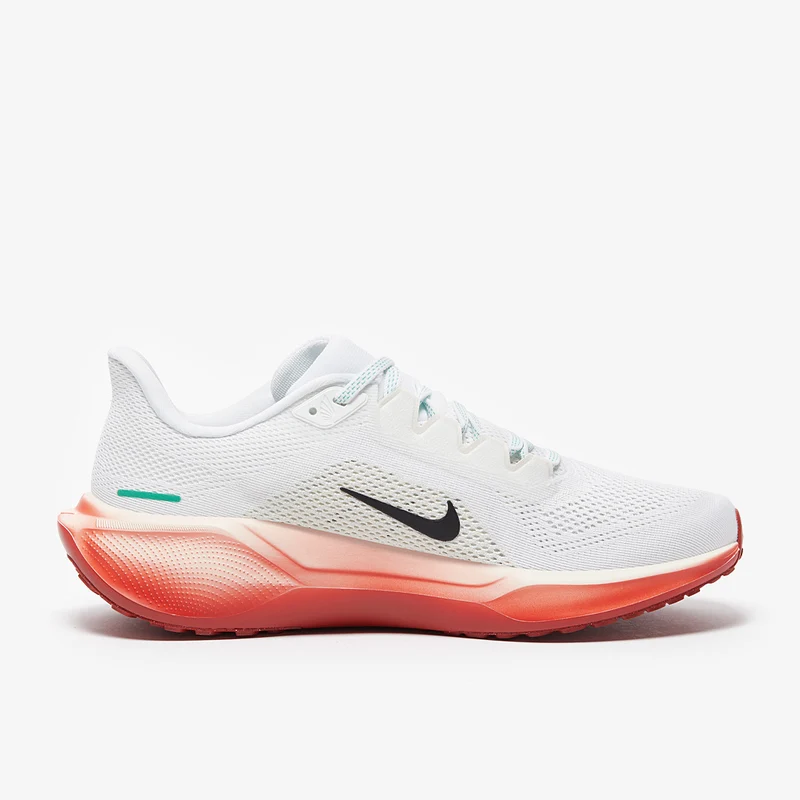 Nike Air Zoom Pegasus 41