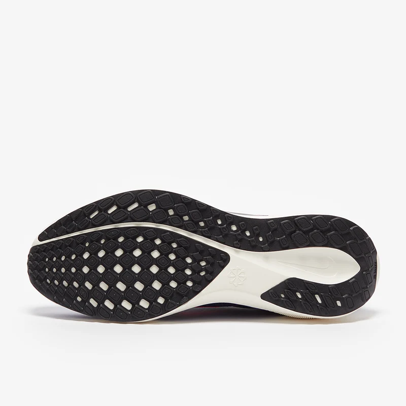 Nike Straßenlaufschuh (Herren) Pegasus 41