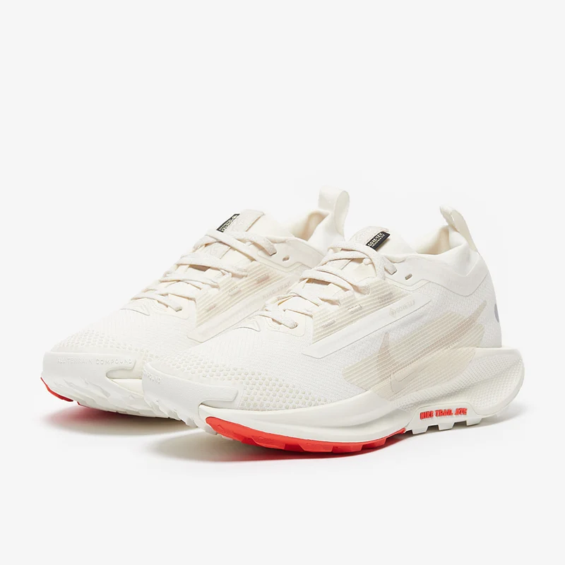 Nike Damen Pegasus Trail 5 GORE-TEX