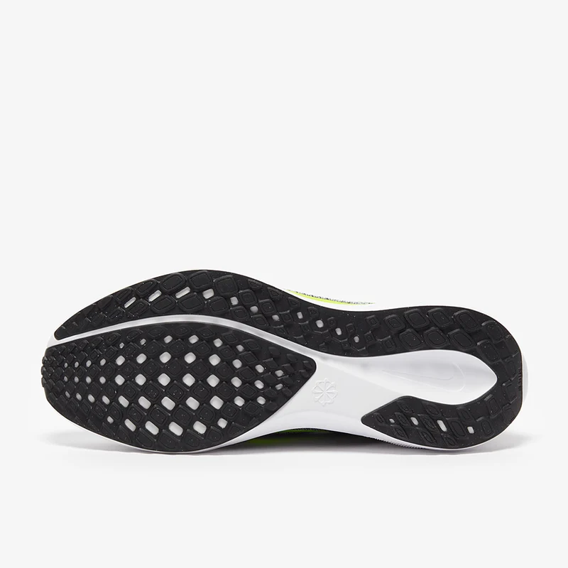 Nike Straßenlaufschuh (Herren) Pegasus 41