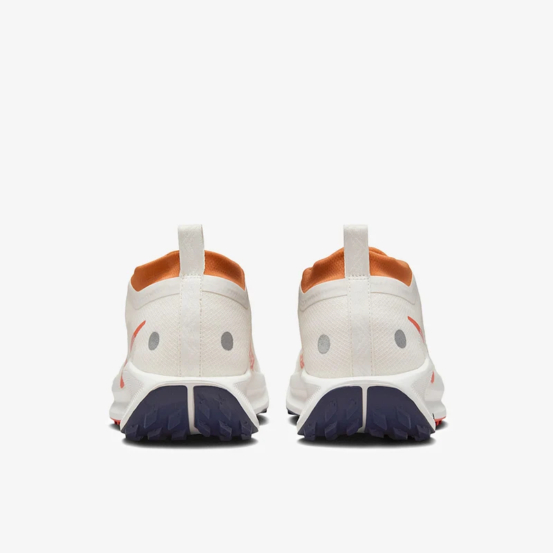 Nike Pegasus Trail 5 GORE-TEX