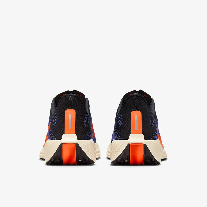 Nike Pegasus Plus