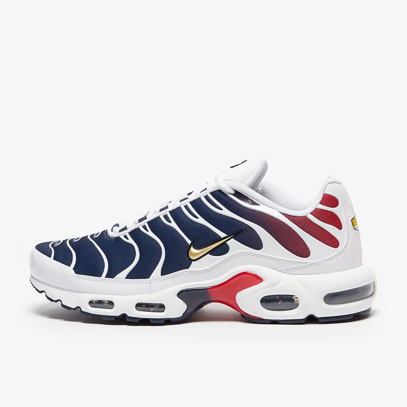 Nike Sportswear Air Max Plus PSG