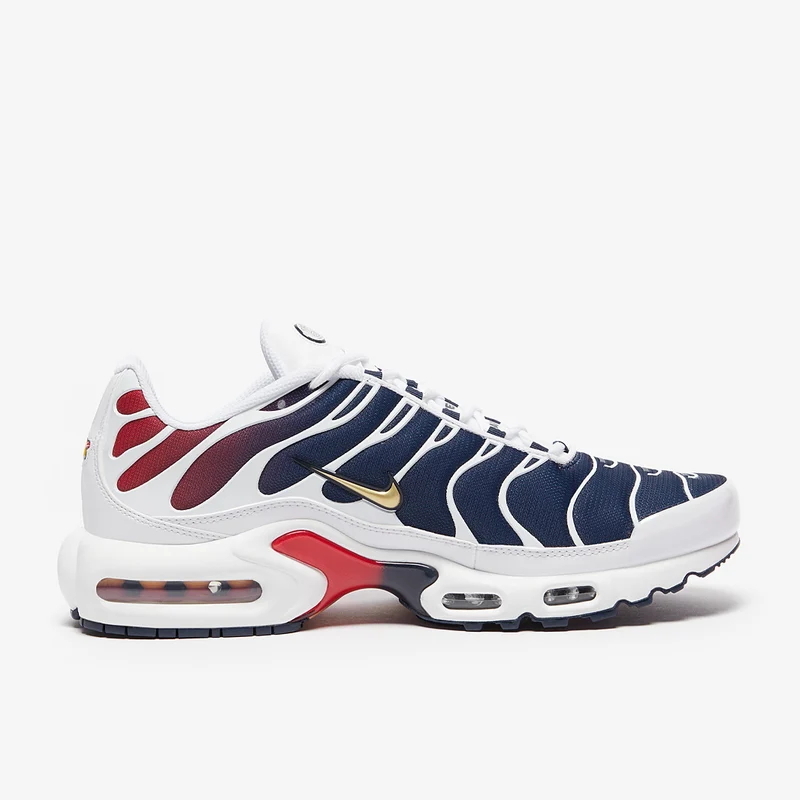 Nike Sportswear Air Max Plus PSG