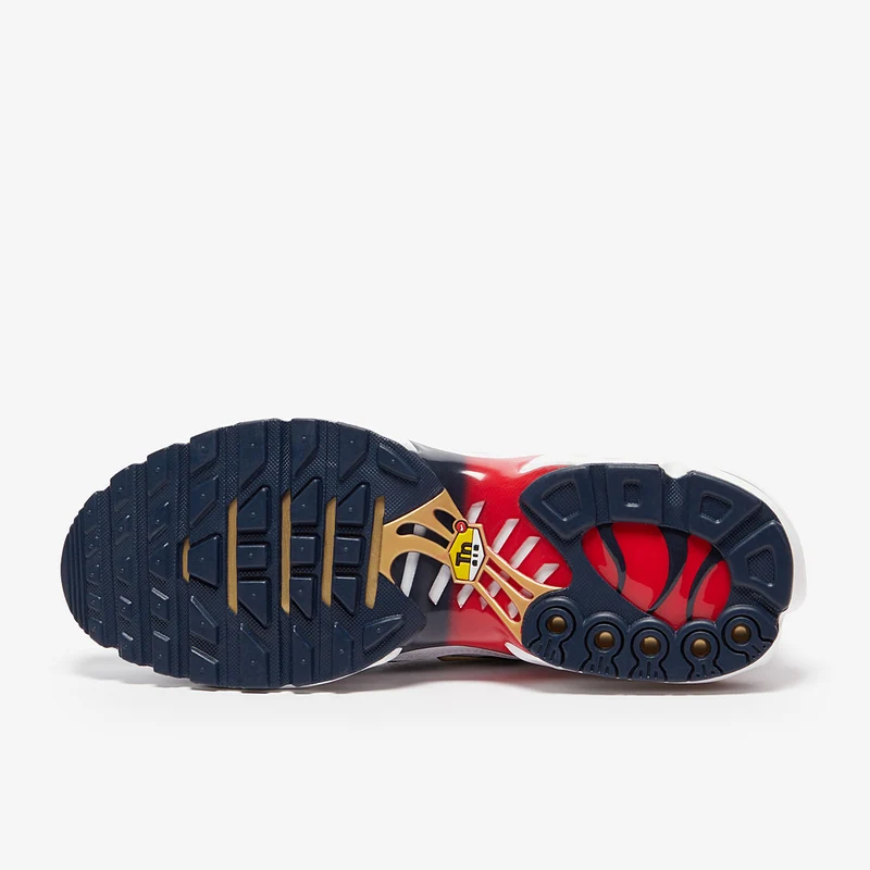 Nike Sportswear Air Max Plus PSG