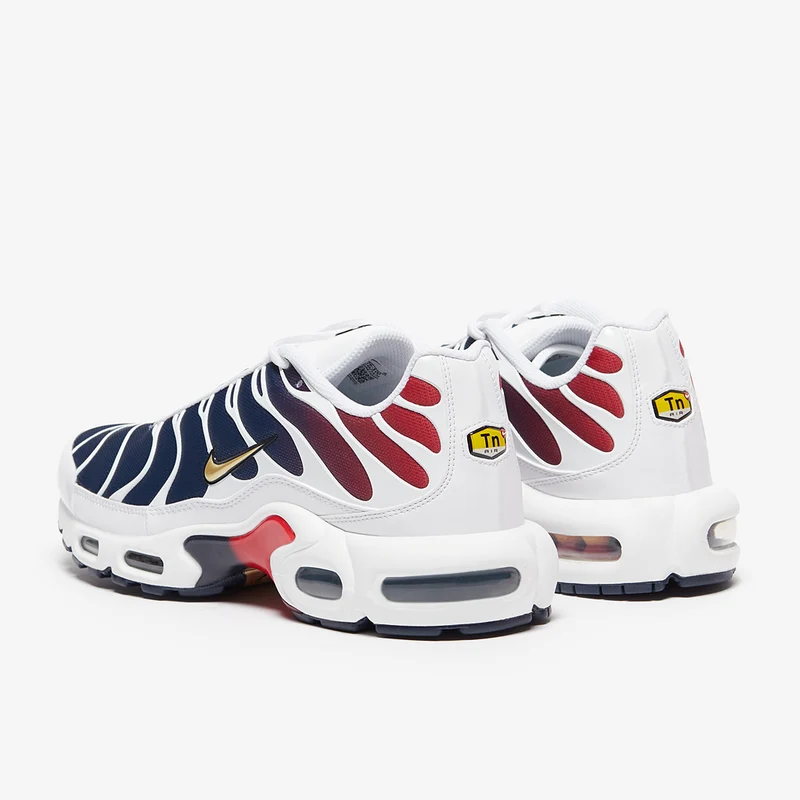 Nike Sportswear Air Max Plus PSG