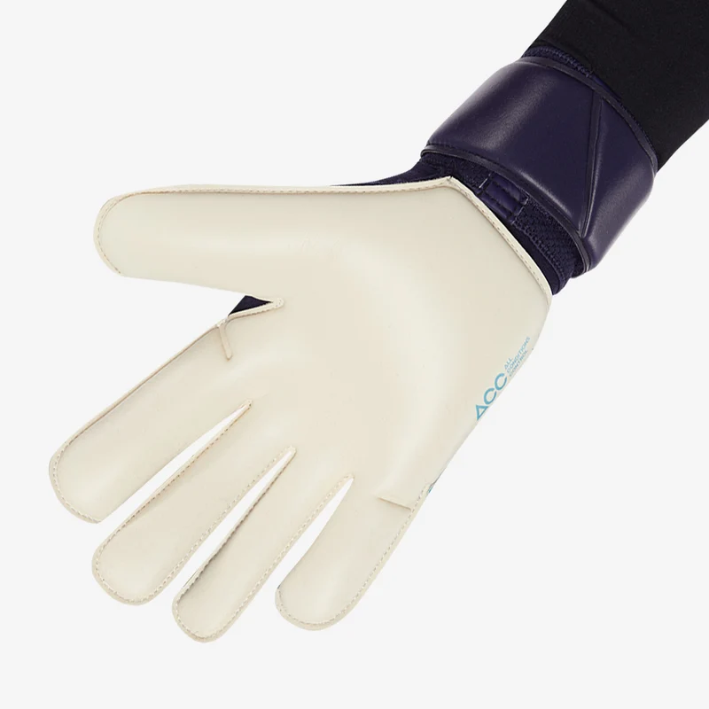 Nike GK Vapor Grip 3