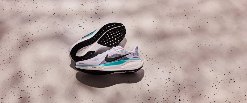 Nike Pegasus 41