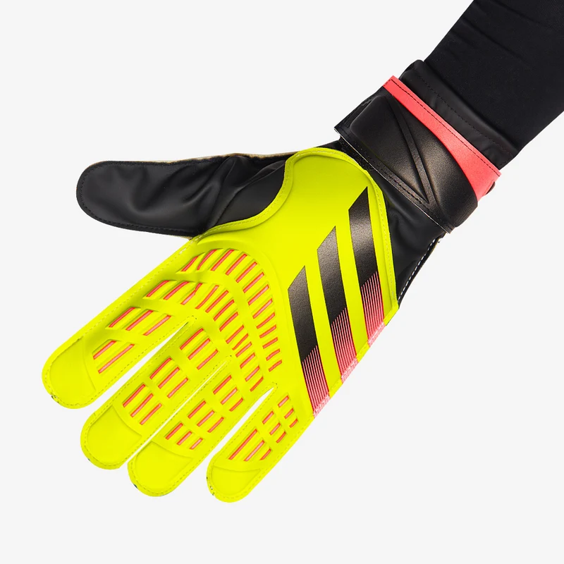 adidas Predator Training