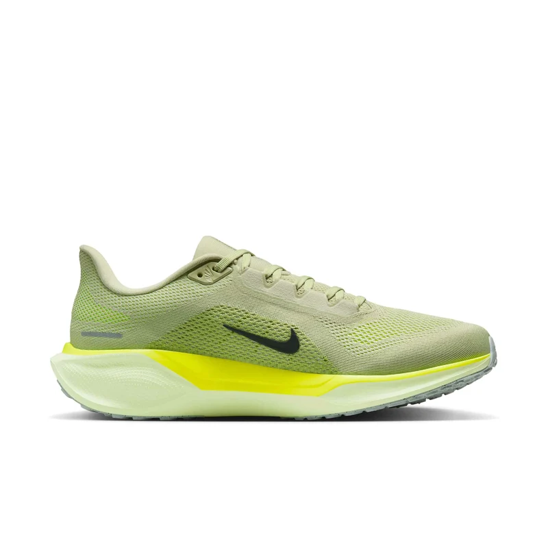 Nike Straßenlaufschuh (Herren) Pegasus 41