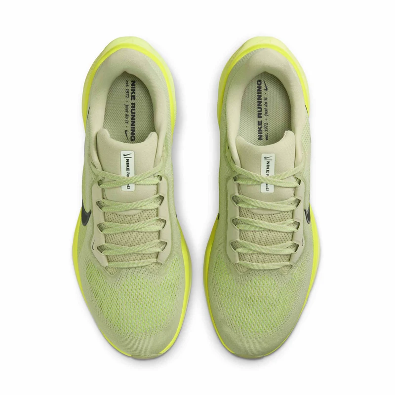 Nike Straßenlaufschuh (Herren) Pegasus 41
