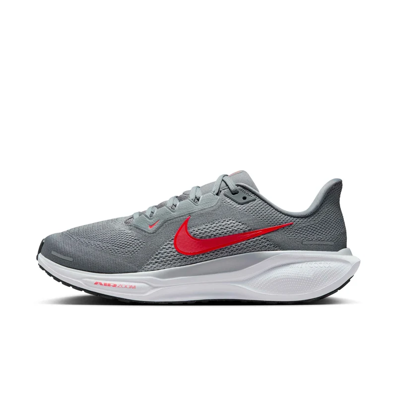 Nike Straßenlaufschuh (Herren) Pegasus 41