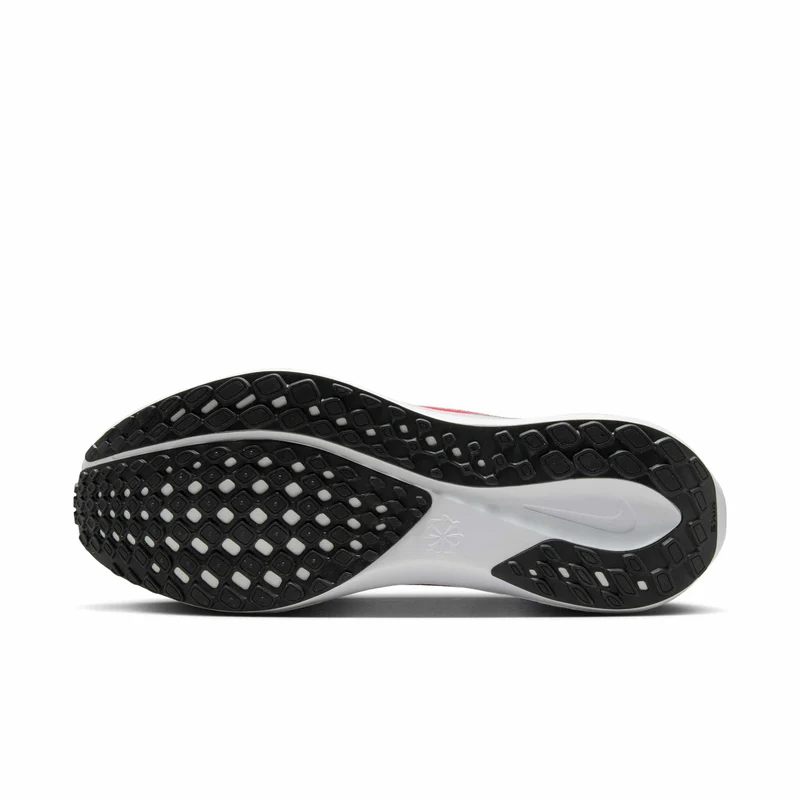 Nike Straßenlaufschuh (Herren) Pegasus 41