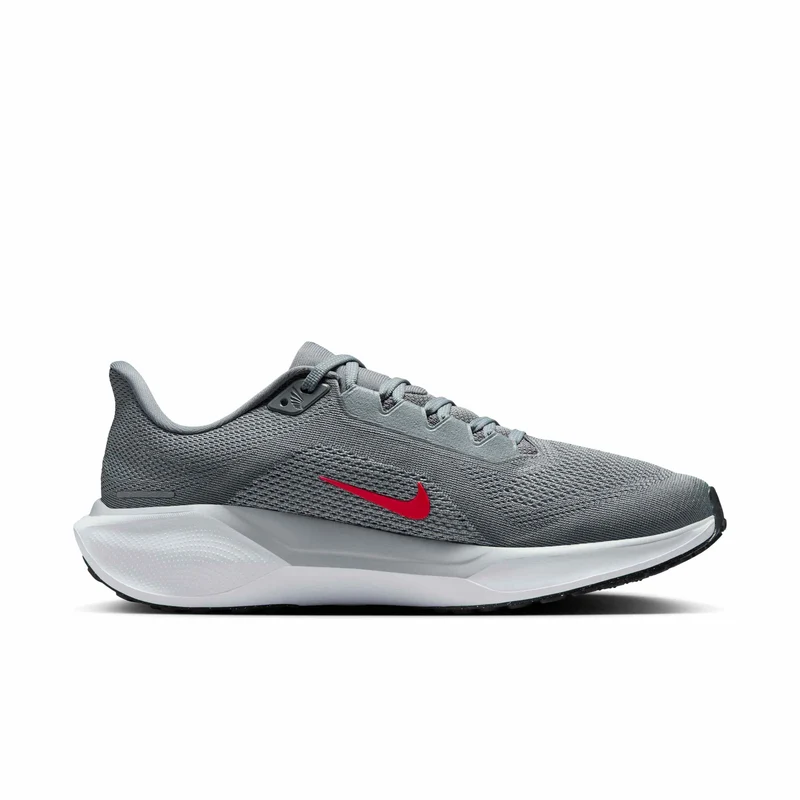Nike Straßenlaufschuh (Herren) Pegasus 41