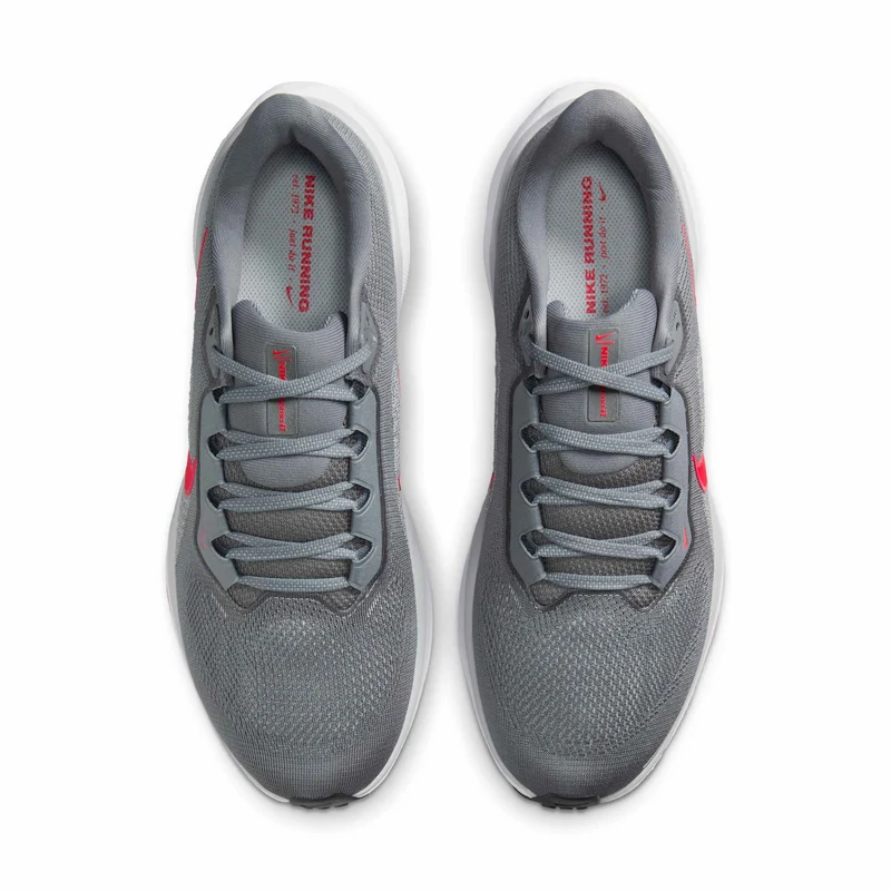 Nike Straßenlaufschuh (Herren) Pegasus 41