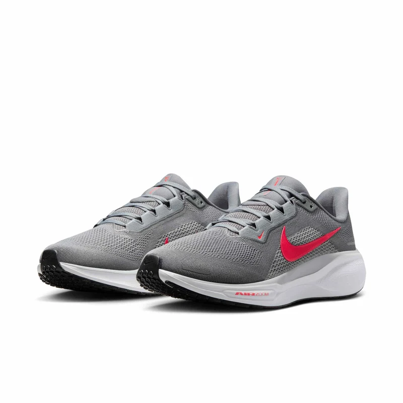 Nike Straßenlaufschuh (Herren) Pegasus 41