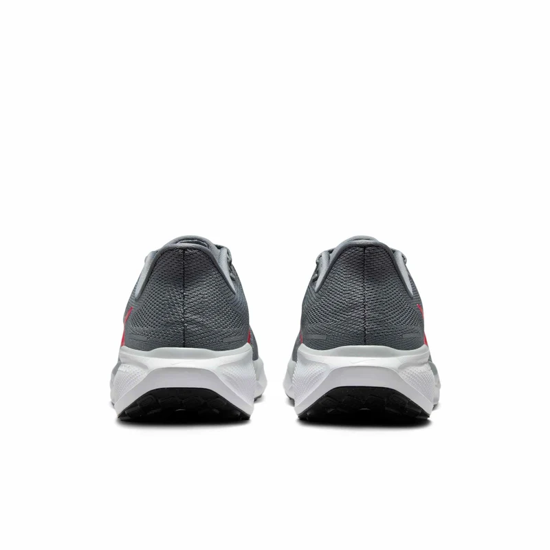 Nike Straßenlaufschuh (Herren) Pegasus 41