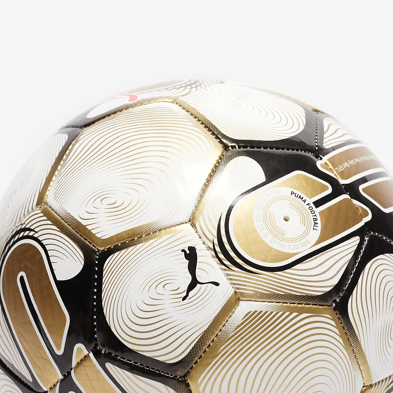 Puma Orbita 6 EFL 23/24 MS Playoff Football
