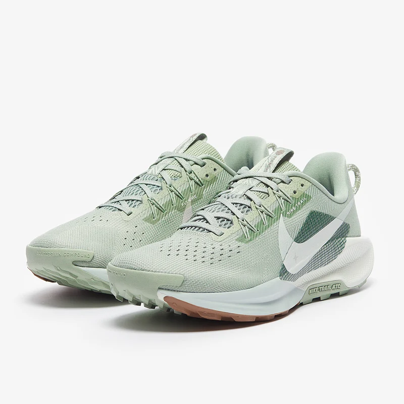 Nike Traillaufschuh (Herren) Pegasus Trail 5
