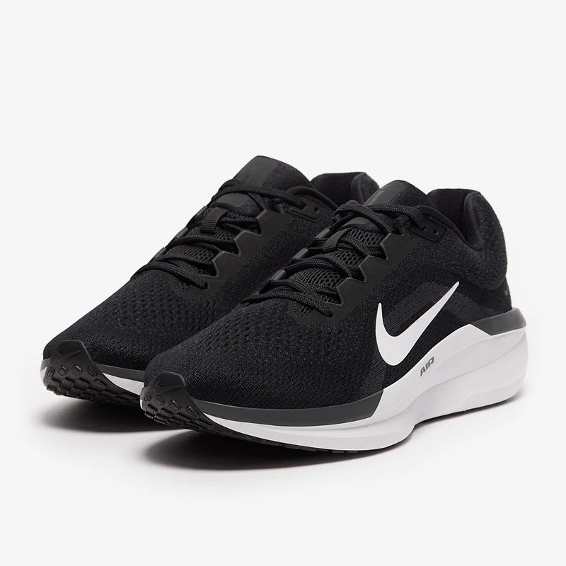 Nike Straßenlaufschuh (Herren) Winflo 11