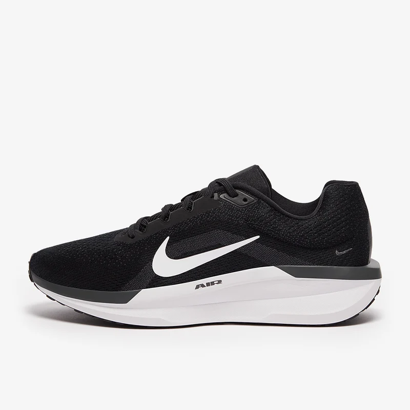 Nike Straßenlaufschuh (Herren) Winflo 11