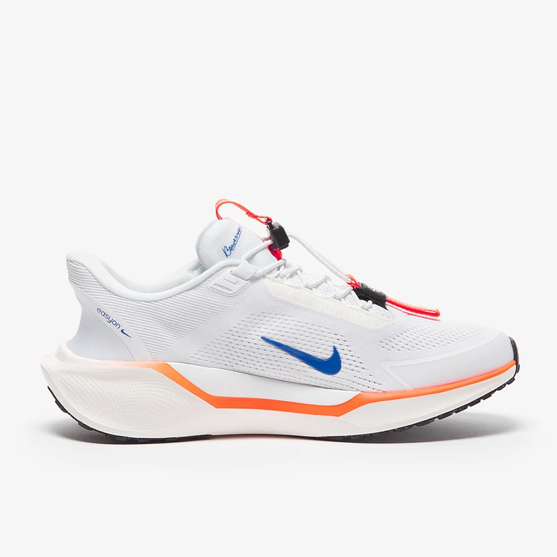 Nike Pegasus Easyon Zoom - /