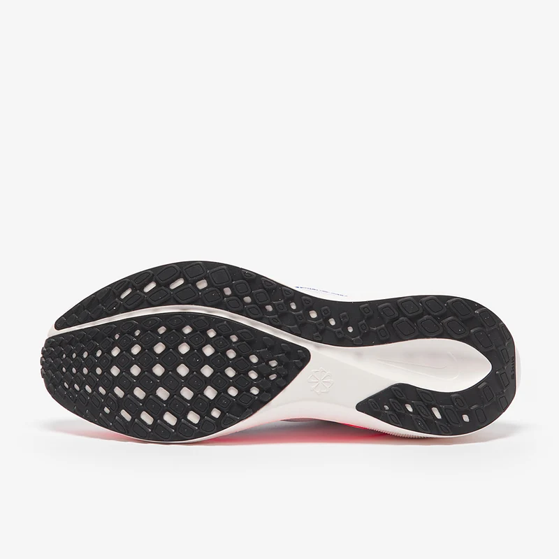 Nike Pegasus Easyon Zoom - /
