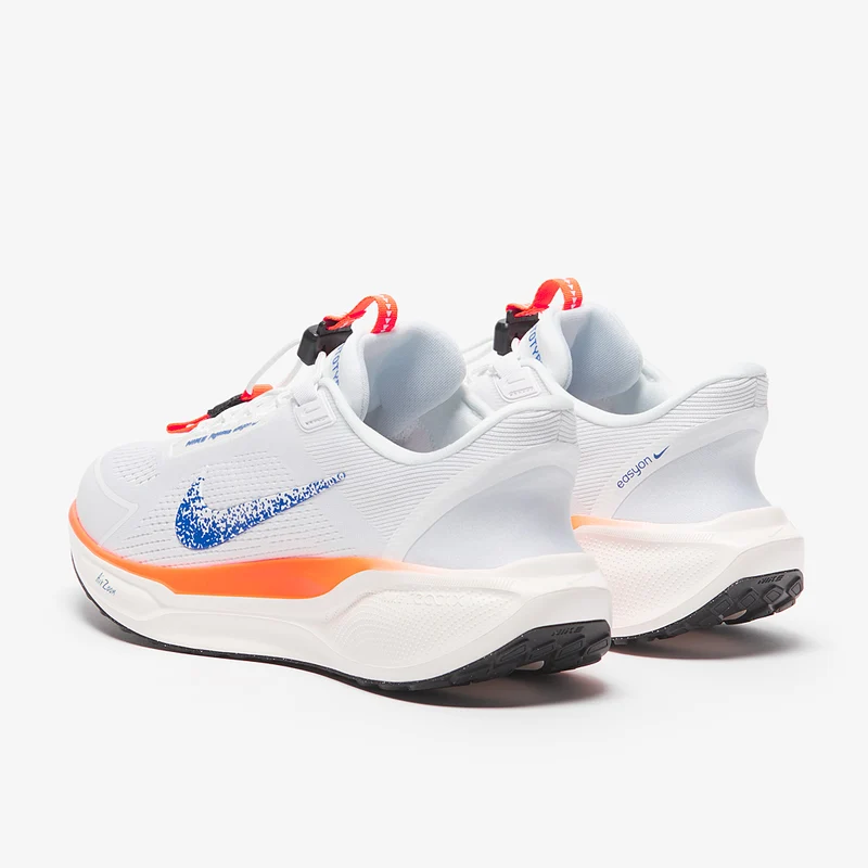 Nike Pegasus Easyon Zoom - /
