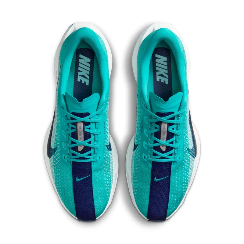 Nike Straßenlaufschuh (Herren) Pegasus Plus