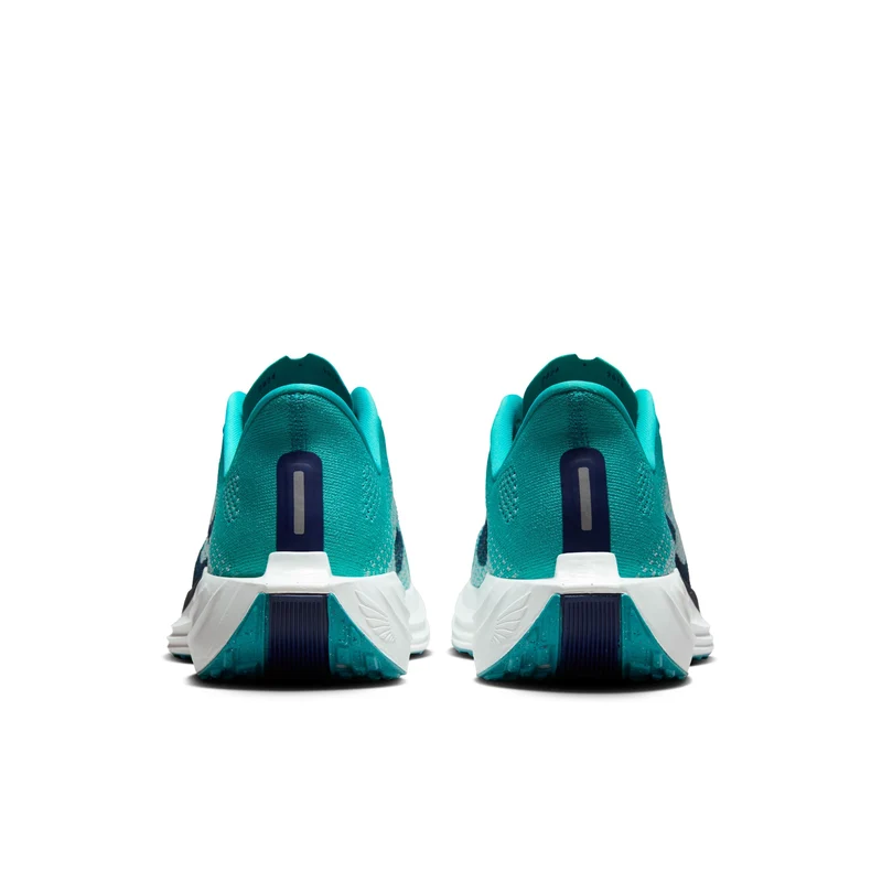 Nike Straßenlaufschuh (Herren) Pegasus Plus