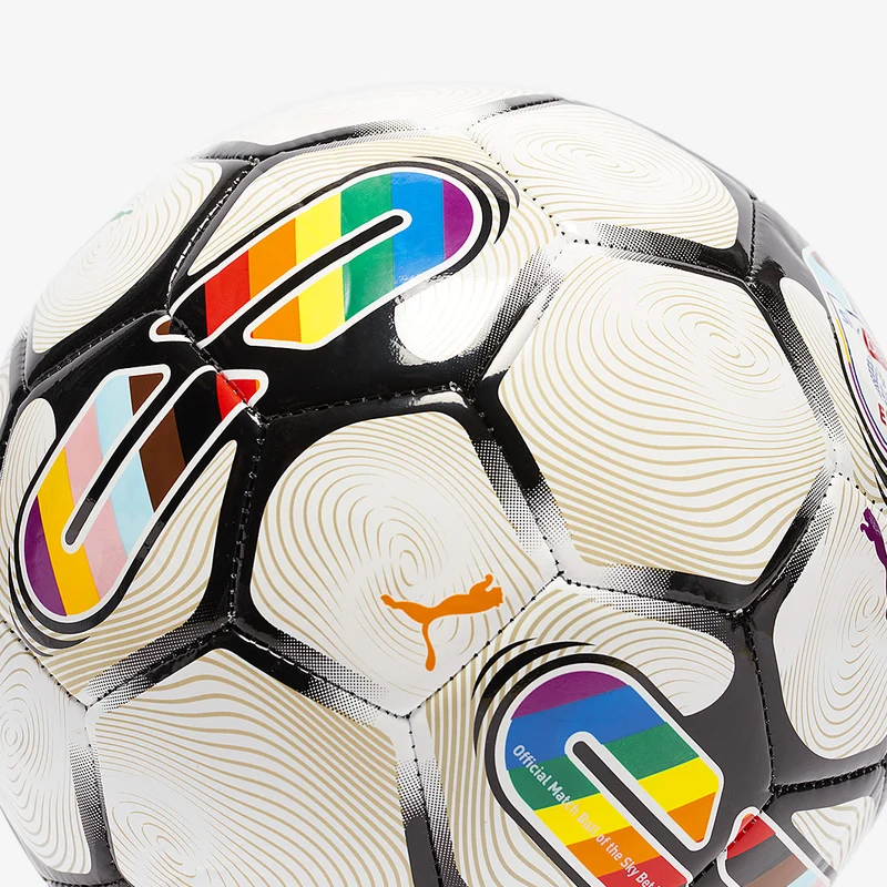 Puma Orbita 6 EFL 23/24 MS Football
