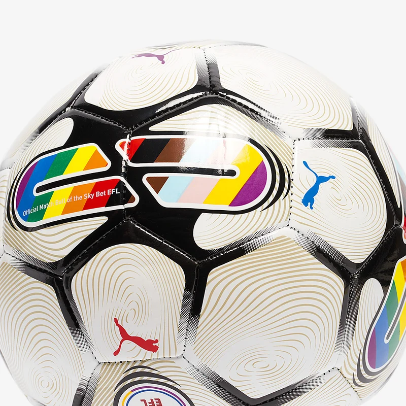 Puma Orbita 6 EFL 23/24 MS Football