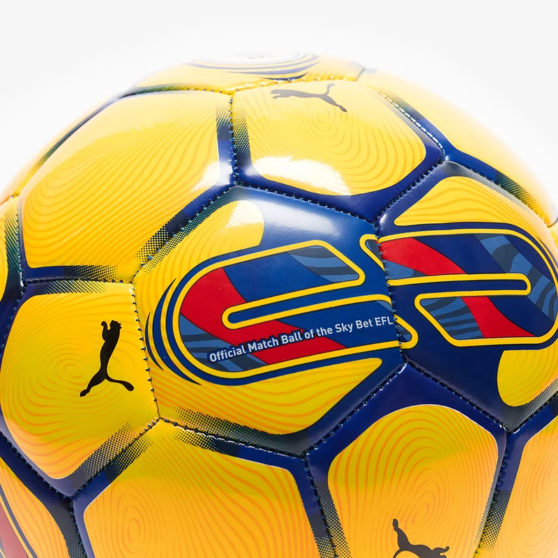 Puma Orbita 6 EFL 23/24 MS Football