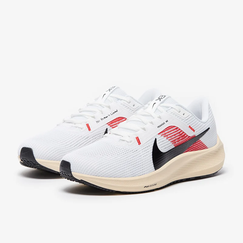 Nike Laufschuh Pegasus 40 "Eliud Kipchoge"