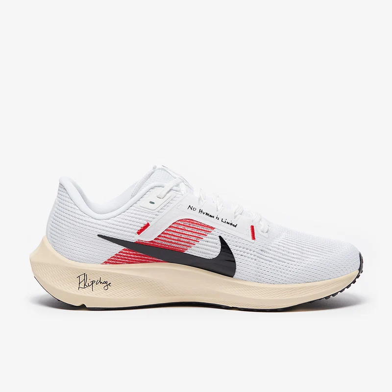 Nike Laufschuh Pegasus 40 "Eliud Kipchoge"