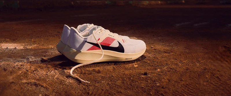 Nike Laufschuh Pegasus 40 "Eliud Kipchoge"